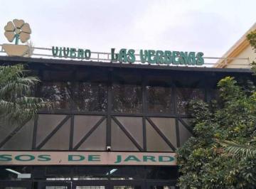 Fondo de comercio · 700m² · 5 Ambientes · 1 Cochera · Venta de Excelente Vivero con Marca Registrada en Mendoza