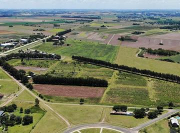 Terreno · 300m² · Venta | Permuta - Terreno en Ecolagos, Desarrolladora Life - General Lagos.