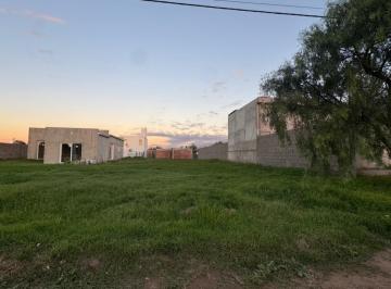 Terreno · 441m² · Terreno Barrio Origen