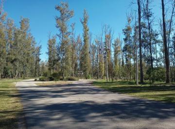 Terreno · 1193m² · Campo Timbo · Oliveros · Terreno · Venta