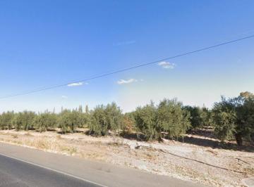 Terreno · 34673m² · Venta Amplio Lote Ruta 60 Rodeo del Medio Maipú
