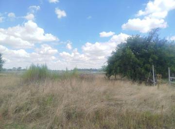 Terreno · 312m² · 3 Lotes 300 m² c/u Carlos Spegazzini El Porvenir