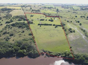 Campo · 61000ha · 4 Ambientes · Chacra en Colonia 7 Ha