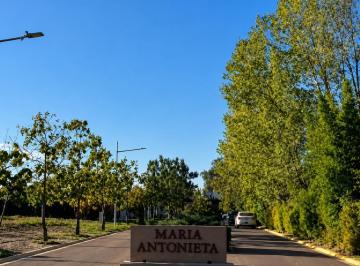 Terreno · 506m² · Terreno - Mayor Drummond