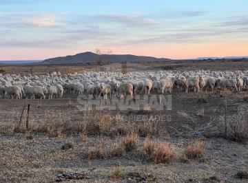 Campo · 103610000ha · Venta Campo en Ing. Jacobacci - Río Negro