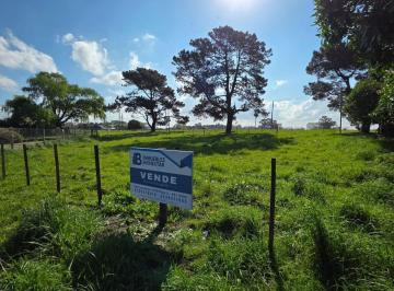 Imagen1 · Terreno en Santa Celina