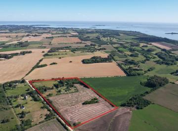Campo · 200ha · 4 Dormitorios · Encantador Casco de Estancia en El Corazón de San Pedro, a Solo 15 Minutos del Centro de Colonia.
