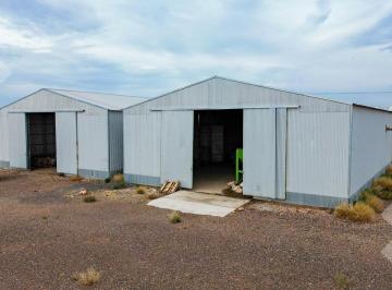 Bodega-Galpón · 320m² · Venta Galpon Vaca Muerta Añelo Nequen