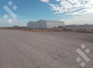 Bodega-Galpón · 320m² · Venta Galpon Vaca Muerta Añelo Nequen