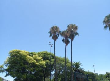 Departamento de 2 ambientes, Palermo · Depto Dúplex. Disponible a Partir de Agosto 2026
