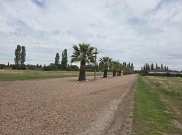Terreno , San Rafael · Lotes en Venta Barrio Privado – Las Paredes, San Rafael
