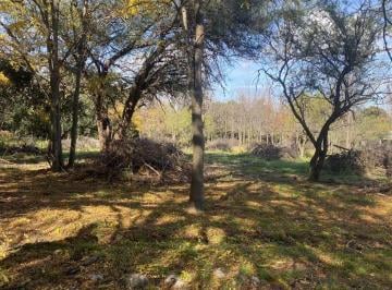 Terreno · 2550m² · Venta Terreno 2.500 m² con Escritura Los Molles!