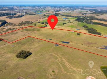 Campo · 240000ha · Venta Campo 24 Hectáreas en Camino Eguzquiza, La Barra