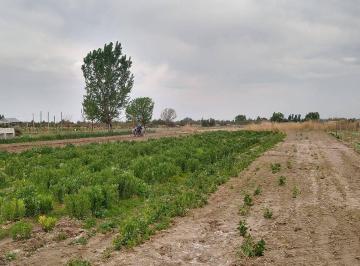 Terreno de 1 ambiente Venta $ 25.000.000 · Finca 2 Has en El Borbollon