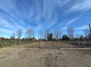 Terreno , Vistalba · Dueño. Vendo Terreno Exclusivo en Vistalba, Luján de Cuyo