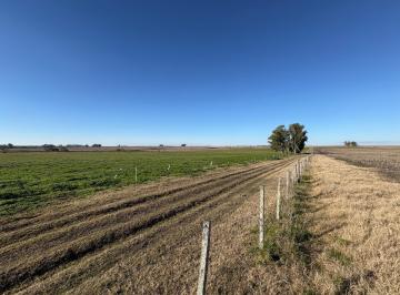 Campo · 350ha · 6 Ambientes · Campo en Gualeguaychu
