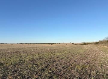Campo · 1620000ha · Campo en Gualeguaychu