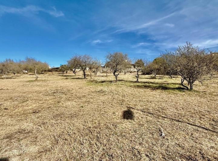Terreno · 1300m²