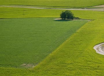 Terreno · 1200000m² · Campo