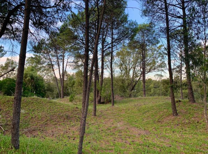 Terreno · 1920m²