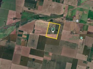 Campo · 540000m² · Campo en Totoras