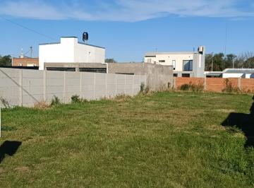 Terreno · 468m² · Venta - Lote 12 X 40 Mtrs - 468 m² - Maciel