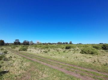 Terreno · 44913m² · Venta Lote 45.000 m² Zona Sur Mar del Plata