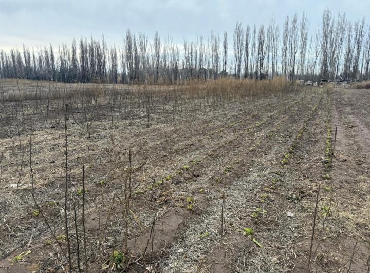 Campo · 20000m²