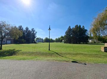 Terreno , Brandsen · Lote Interno Escriturado en Venta en Haras del Sur II