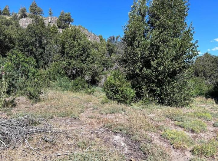 Terreno · 1230m²