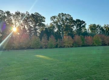 Terreno , Brandsen · Viví Naturaleza, Seguridad y Amenities Premium: Lote 2543 m² en Brandsen Ruta 2