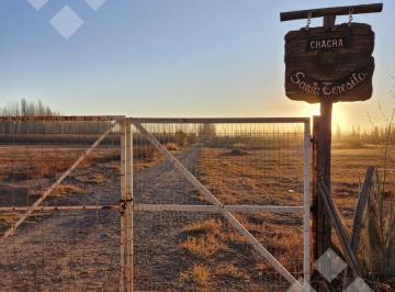 Terreno · 200m² · Venta Chacra - Calle Julio Salto - Frente a La Nonina - Cipolletti