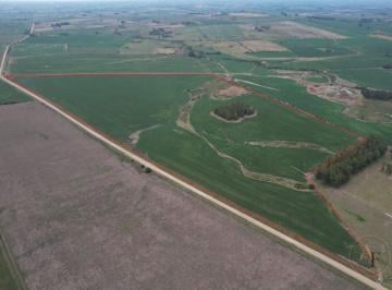 Campo · 58ha · Campo en Venta Nueva Helvecia
