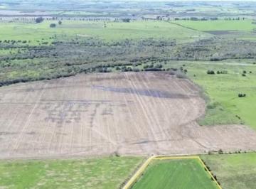 Campo · 400000ha · Venta Campo Agricola San Jose 40 Ha