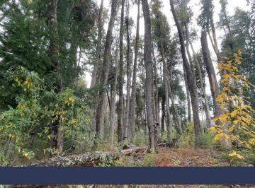 Terreno · 1246m² · Venta - Lote, 25, Vla