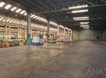 Bodega-Galpón · 4000m² · Nave Industrial - Alquiler - El Triángulo