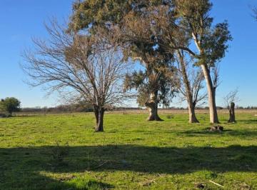 Campo , Brandsen · Venta Exclusiva, Campo Agricola - Granadero, Casco de Estancia