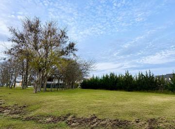 Terreno · 1414m² · Amplio Lote de 1.414 m² | Barrio D (4) · Greenville Polo & Resort