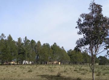 Campo · 50000ha · Chacra en Manantiales