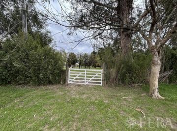 Terreno · 12000m² · Venta Terreno de 1,2 Ha en Ingeniero Allan - Florencio Varela