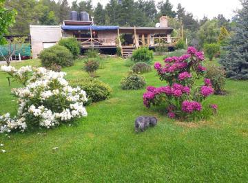 Campo · 120ha · 5 Ambientes · Chacra en Cerro Radal