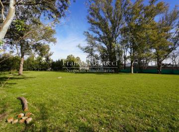 Terreno · 12000m² · Terreno en Venta en Francisco Álvarez