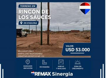Terreno · 292m² · Venta de Terreno en Esquina Rincon de Los Sauces
