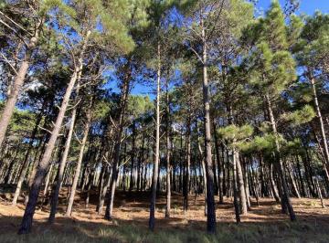 Lote 388 · Lote de Terreno en Villa Robles