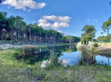 Lote 565 · Lote de Terreno con Costa de Laguna en Villa Robles