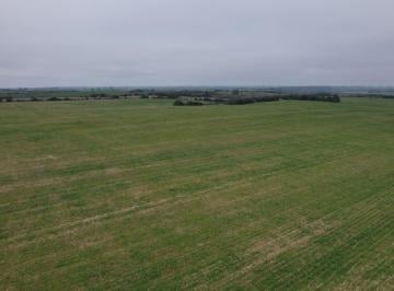 Campo · 9510000ha · Venta de Campo Agrícola y Ganadero | 951 Hectáreas