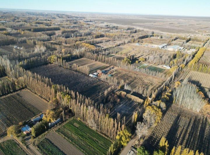 Campo · 60ha