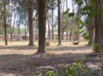 Terreno , Esteban Echeverría · Venta de Lotes en Pinares de Echeverría
