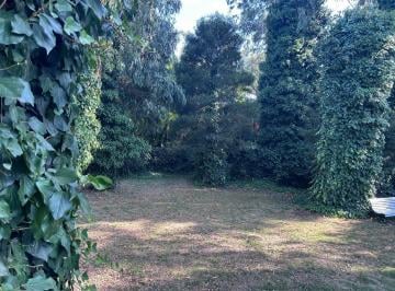 IMG_8473.jpeg · Venta Lote Terreno en Bosque Peralta Ramos