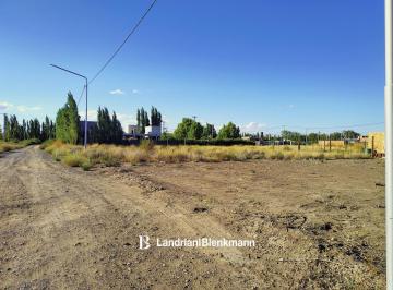 Terreno · 252m² · Lote 250 m² en Plottier
